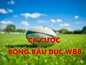 hướng dẫn chi tiết cách chơi cá cược bóng bầu dục w88